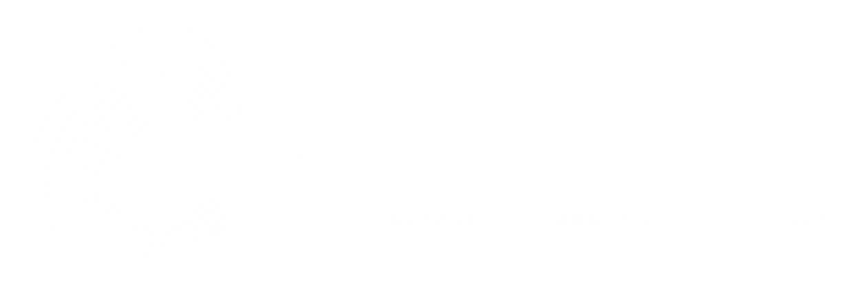 Conseguros Logo